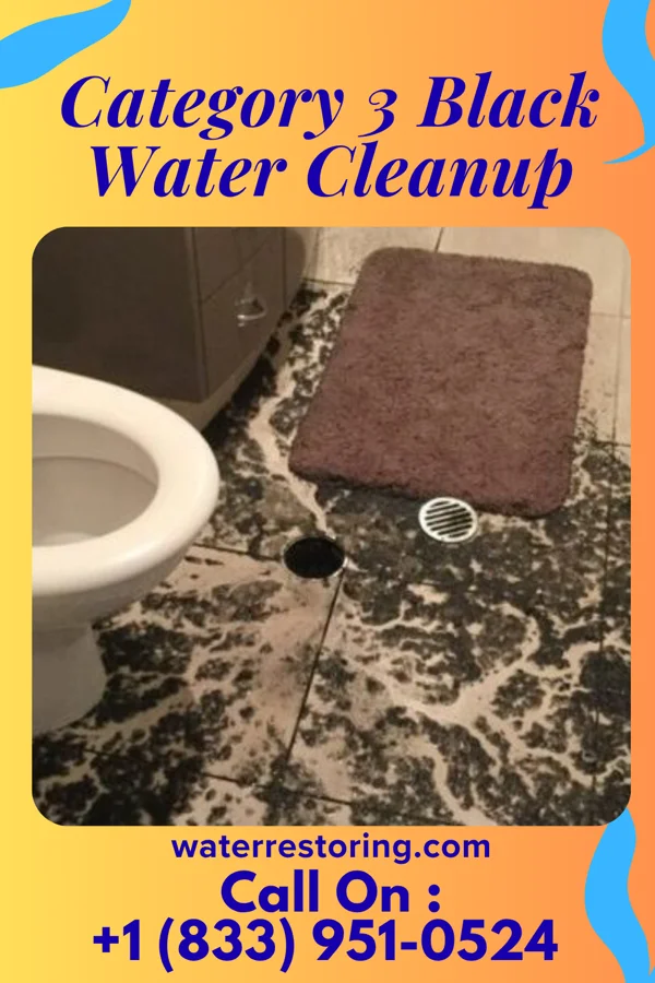 Category 3 Black Water Cleanup in Parksville, SC