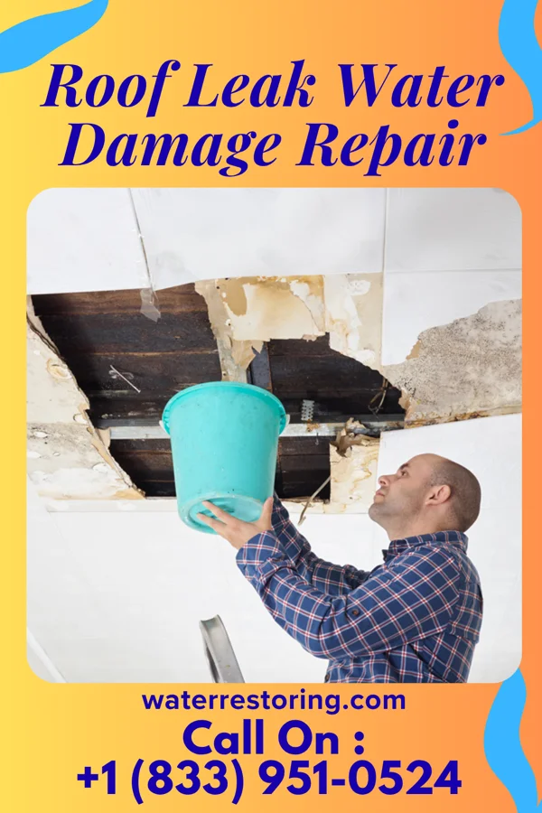 Roof Leak Water Damage Repair in Parksville, SC